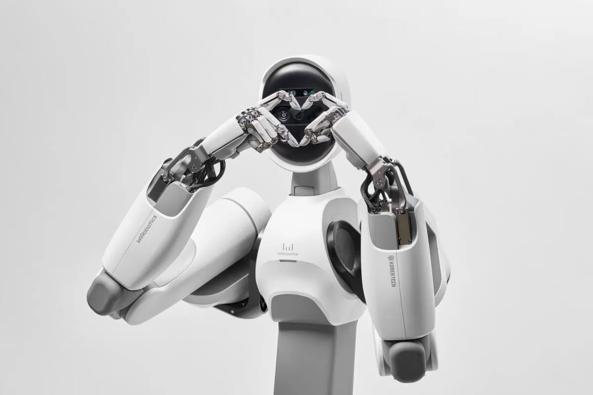 Robotika Humanoid